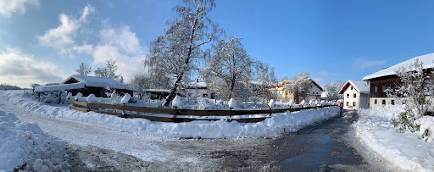 Riederinger Weiher