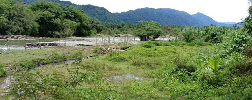 Pantai Aris