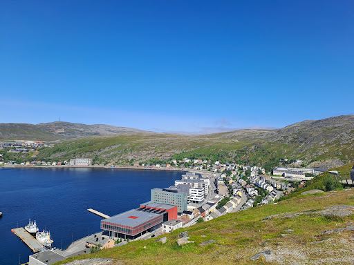 Toke Hammerfest