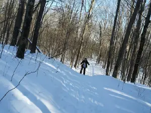 Chippewa HillsTrail