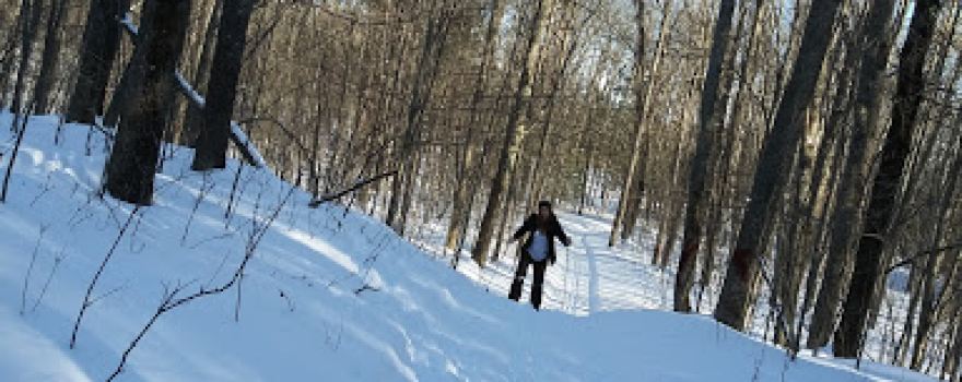 Chippewa HillsTrail