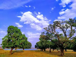 Bilgaon Dam