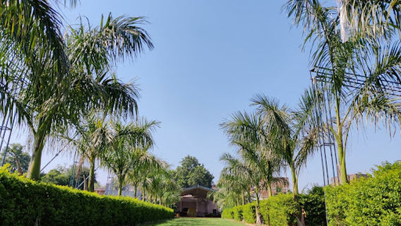Padharoji Marriage Garden