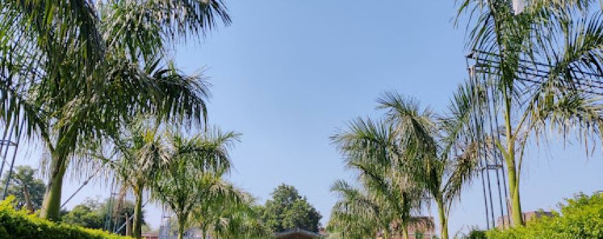 Padharoji Marriage Garden