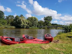 Kajaczek.pl kayaking Pilicą