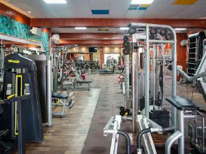 FX Gym