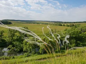 Shchuchye Mound