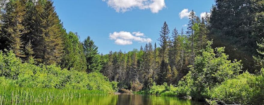 Happy Holiday Campground and Cottages