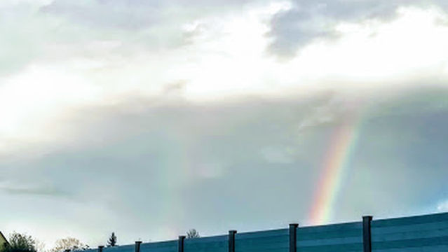 FC Borntal Erfurt e.V.