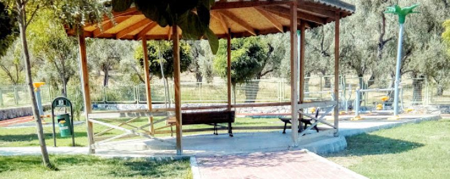 Mehmet Ali Almaz Parkı