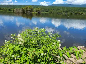 Cove Lake Recreation Area