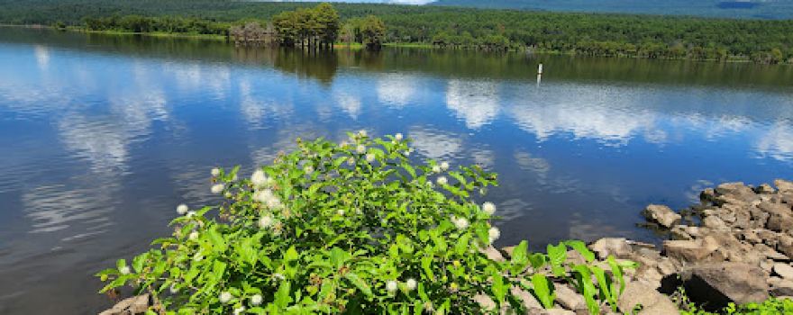 Cove Lake Recreation Area