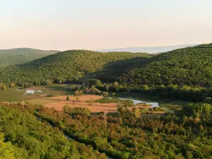 Natural Reserve of Doberdò Lakes and Pietrarossa