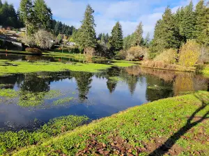 Mingus Park