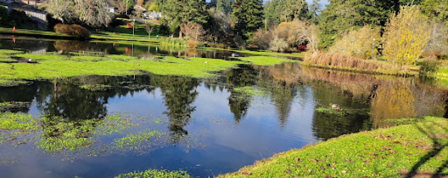 Mingus Park