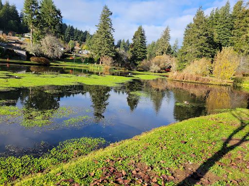 Mingus Park