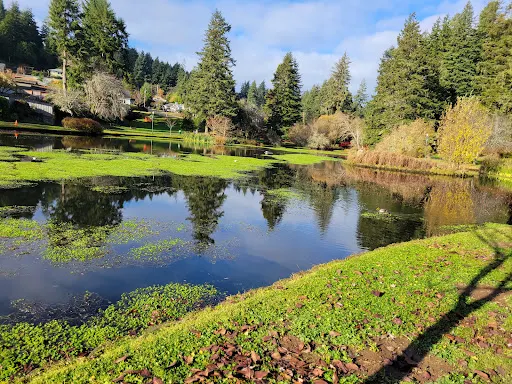 Mingus Park
