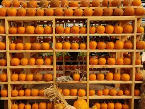 Marcum's Nursery