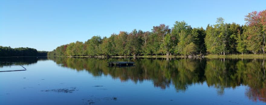 Tranquil Acres Camping