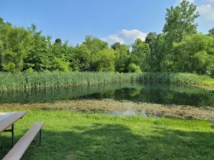 McLean Teddy Bear Park