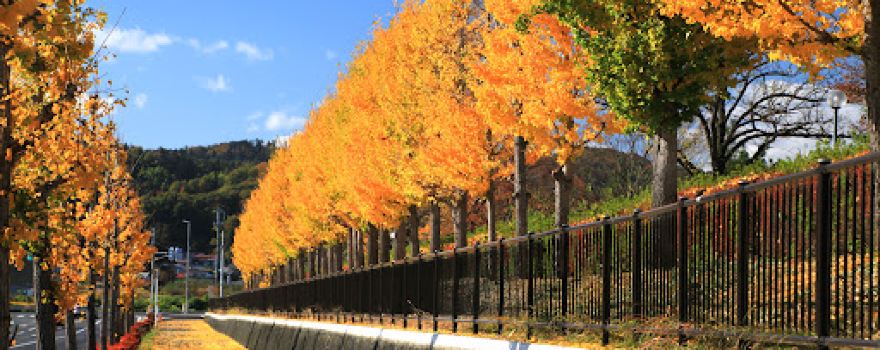 Nakayama Park