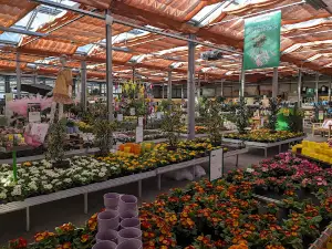 bellaflora Liezen