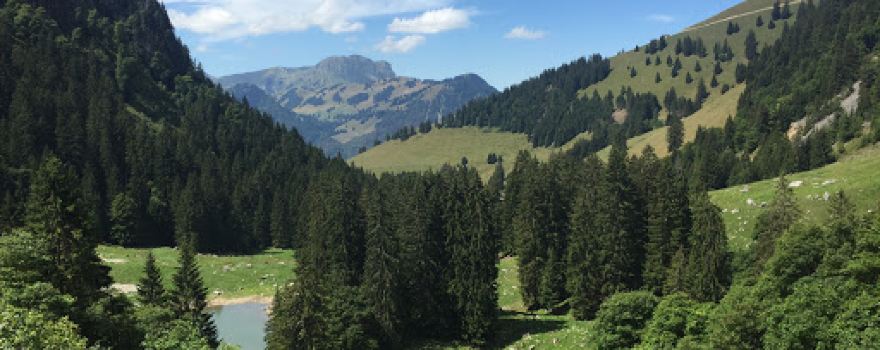 Lac de Coudré