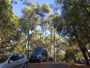 Camping Sandaya le Truc Vert