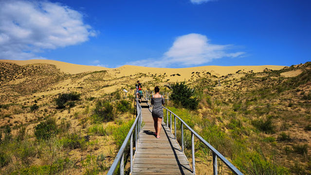 Dagestanskiy Zapovednik, Sarykumskiye Barkhany