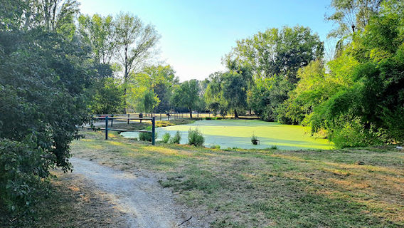 Maffo Vialli Po River Park