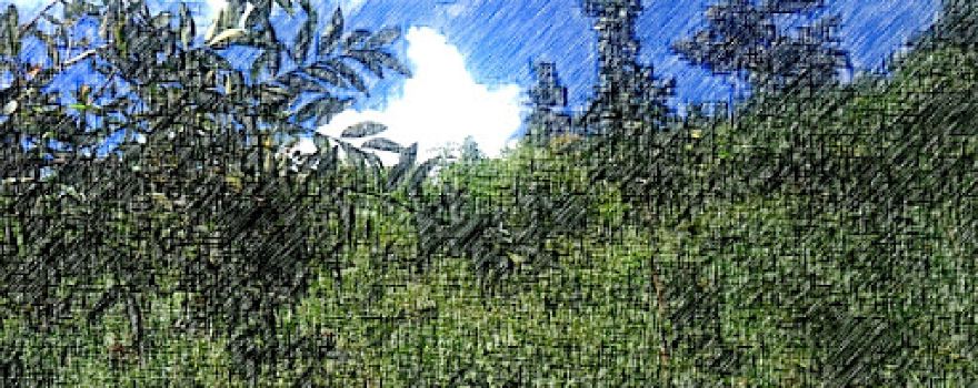 Đài Liệt sĩ Sốp Cộp
