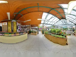 Garden Center Dubany
