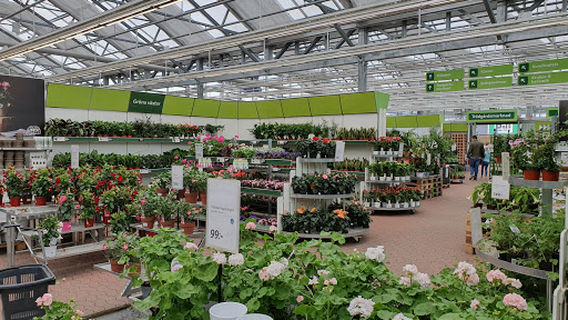 Blomsterlandet Uppsala Gränby