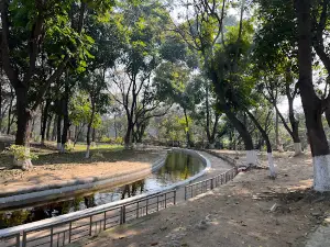 RCF Lake