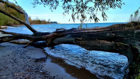 Lakefront West Park