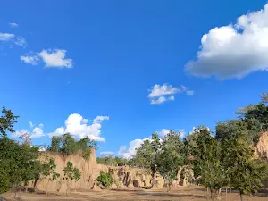 Kok Sua - Sri Nan National Park