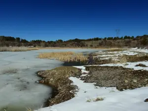 Karagöl National Park (Natural Park)