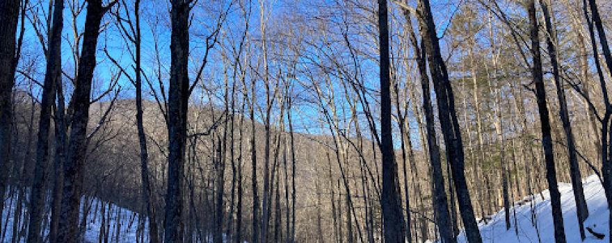 Ashokan High Point Trailhead