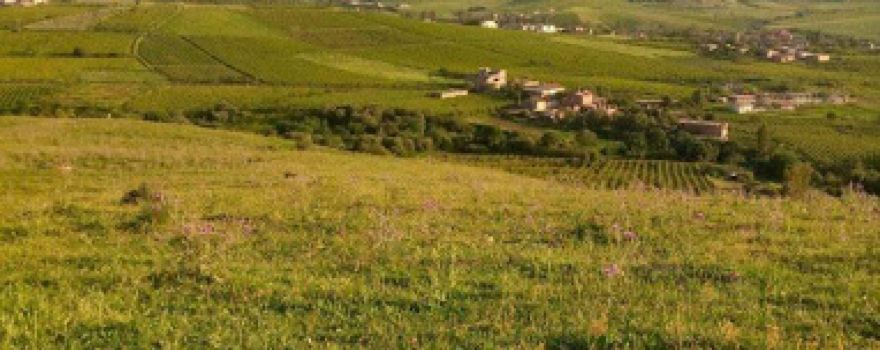 Village imoulouden