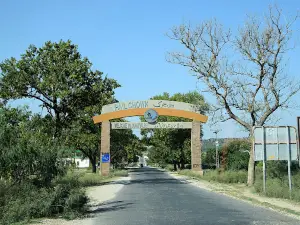 Sakesar