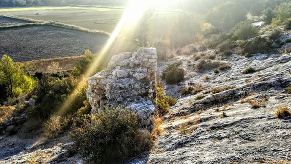 Fontvieille