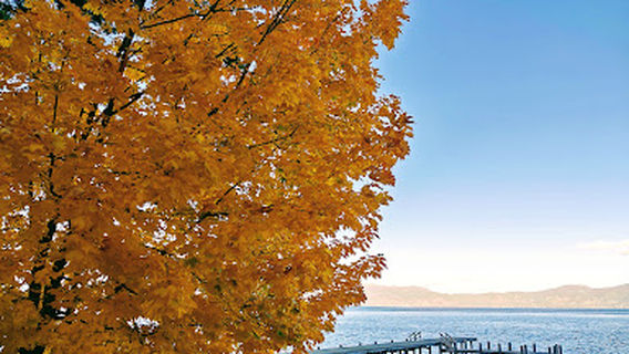 Sugar Pine Cabin at Yosemite