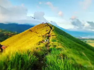 Tungku Wiri Hill