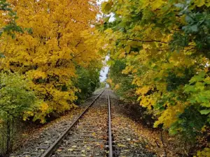 Draisinenstation Karow