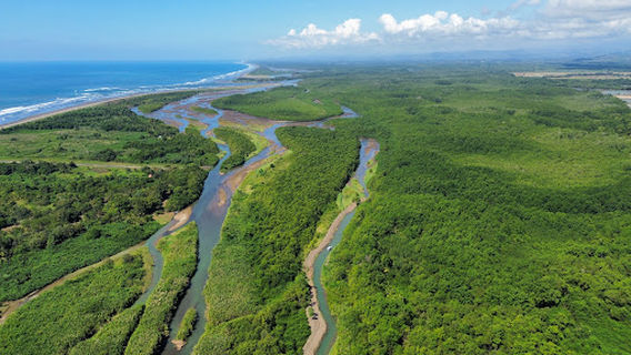 Mangrove tours Manuel Antonio / Manuel Antonio Experiences