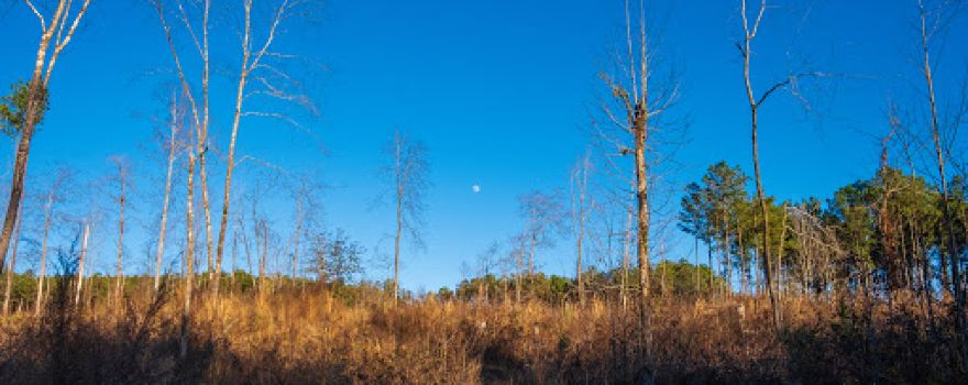 Richardson Creek Trailhead