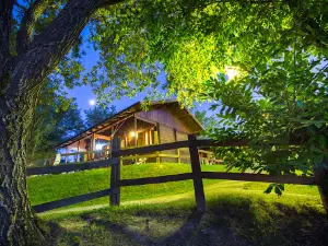 Camping Vettore