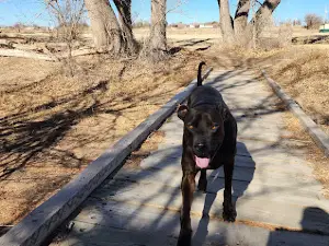 Frazier Park
