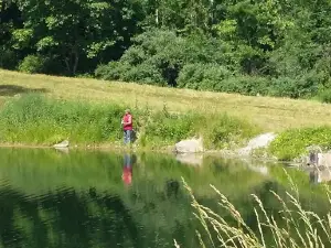 Cooper-Hollow Wildlife Area