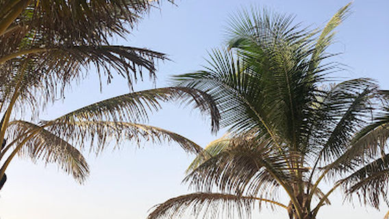 Gambia